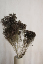 Broom Bloom | Grau Vasenglück