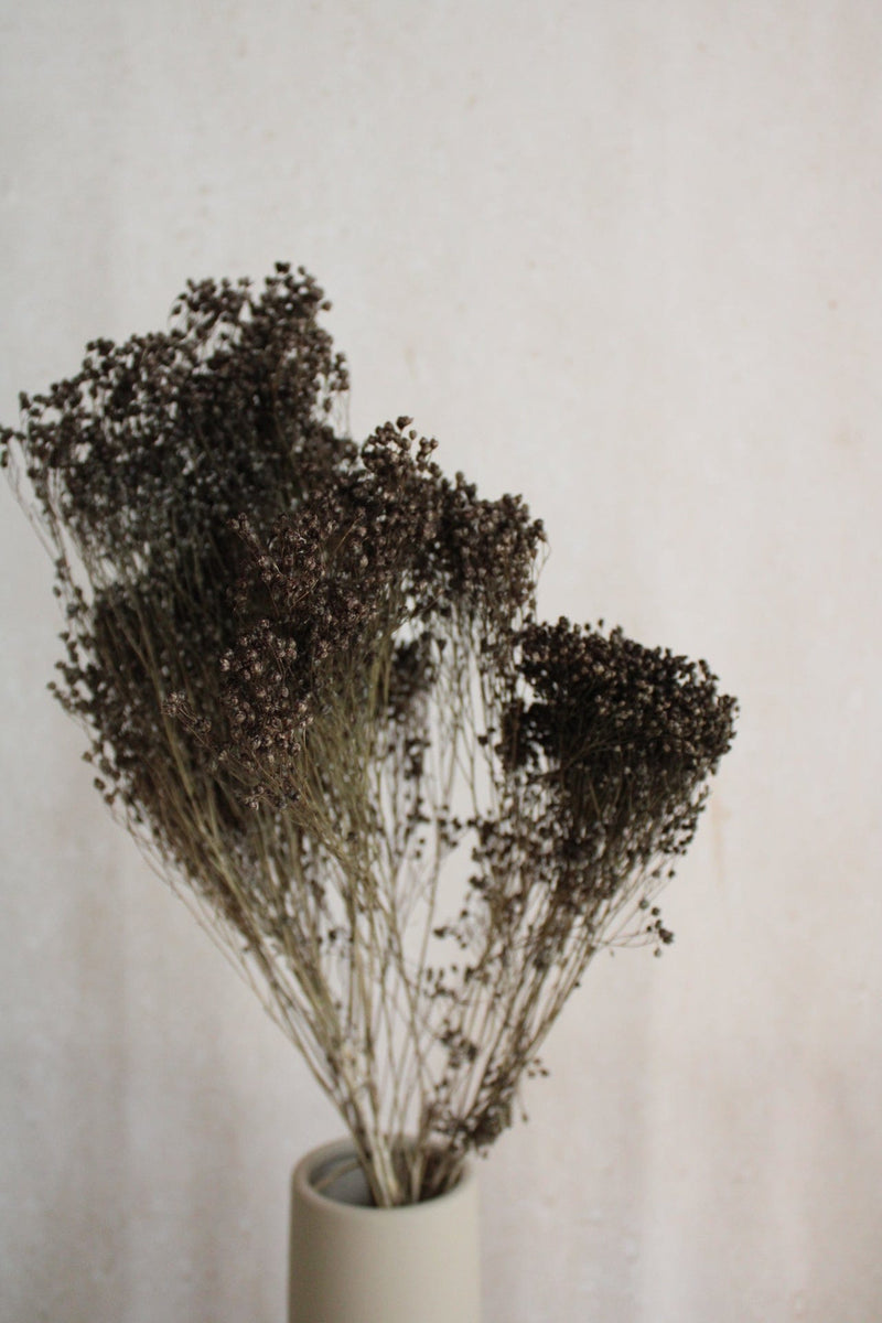 Broom Bloom | Grau Vasenglück