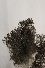Broom Bloom | Grau Vasenglück