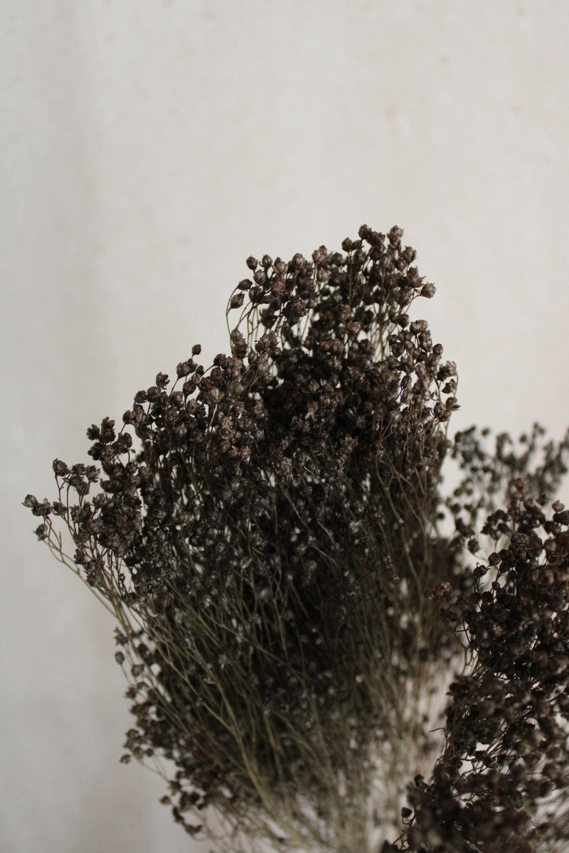Broom Bloom | Grau Vasenglück