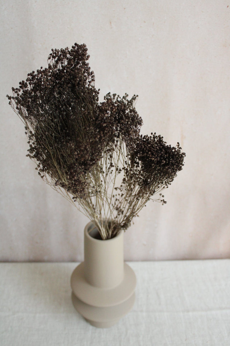 Broom Bloom | Grau Vasenglück