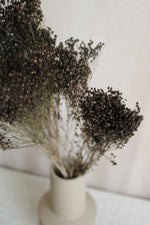 Broom Bloom | Grau Vasenglück
