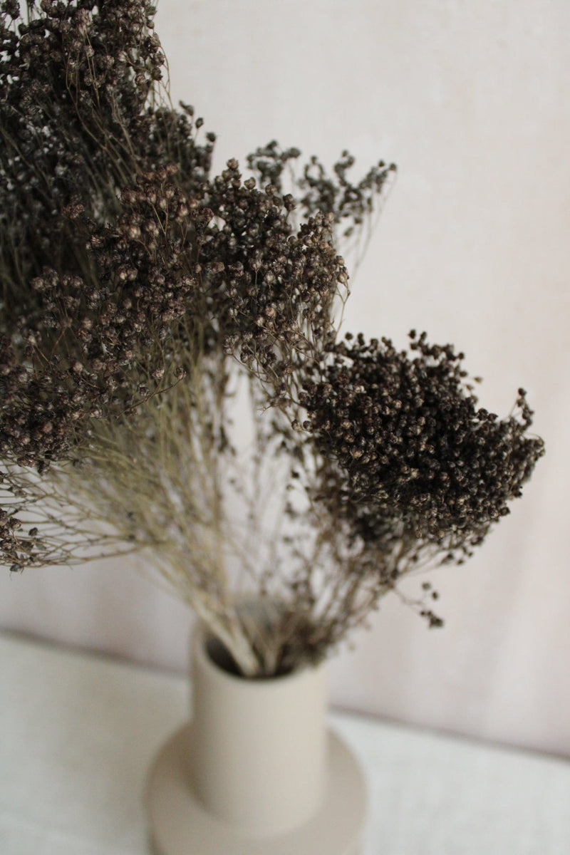 Broom Bloom | Grau Vasenglück