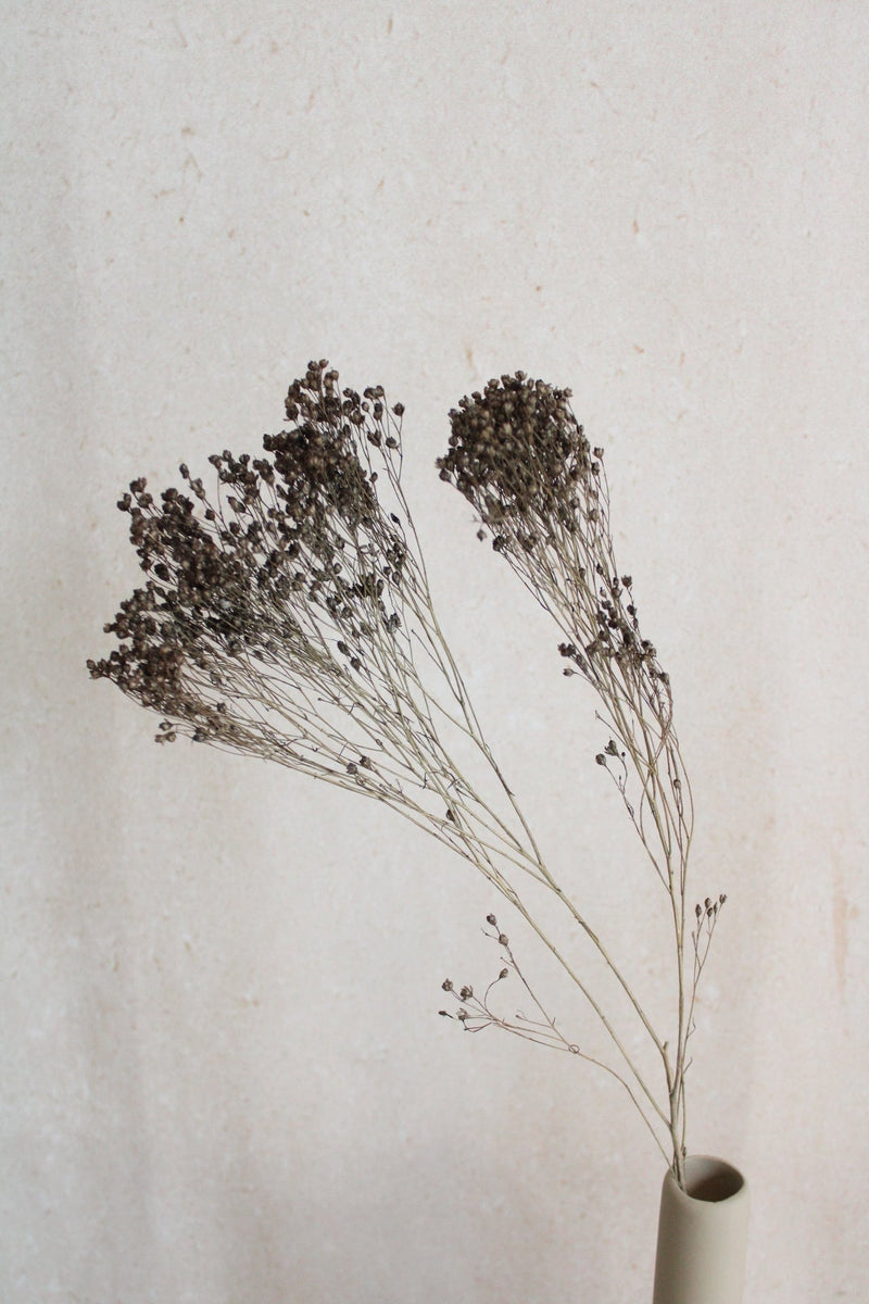 Broom Bloom | Grau Vasenglück