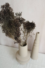 Broom Bloom | Grau Vasenglück