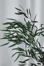 Vasenglück Trockenblumen Eukalyptus Nicoli konserviert | 1 Bund | Grün