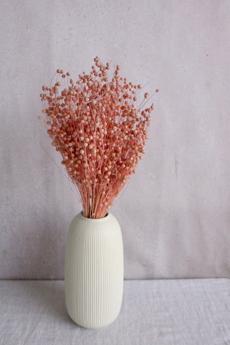 Flachs | Rosa Vasenglück