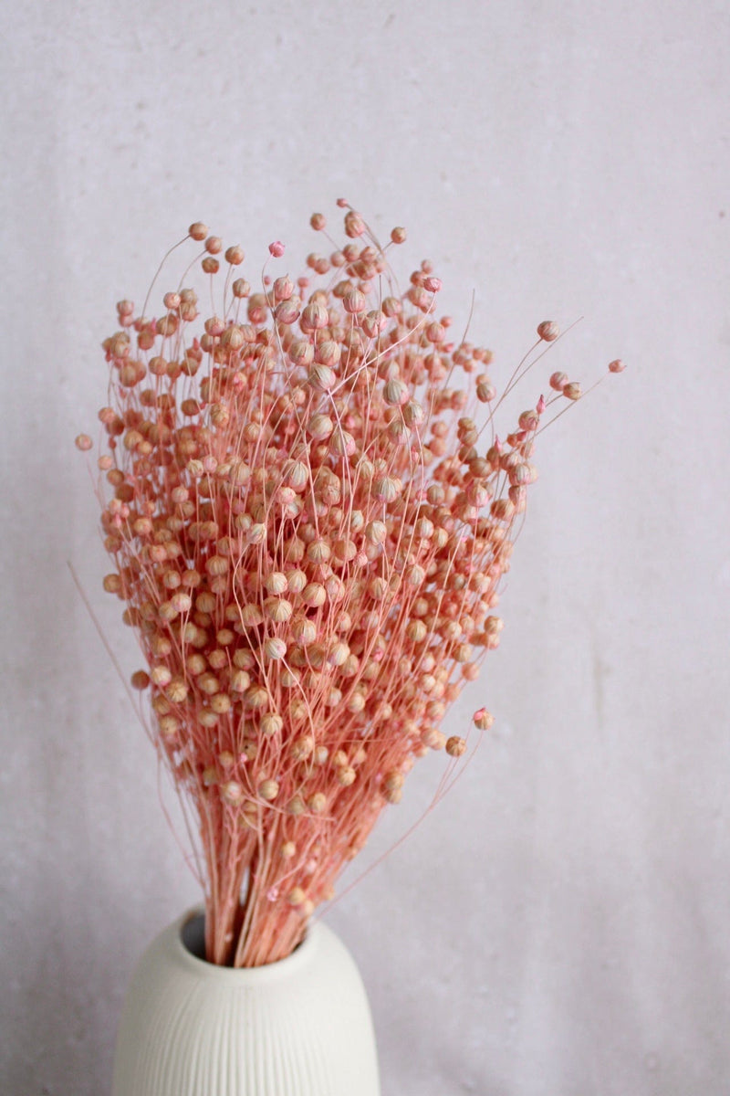 Flachs | Rosa Vasenglück