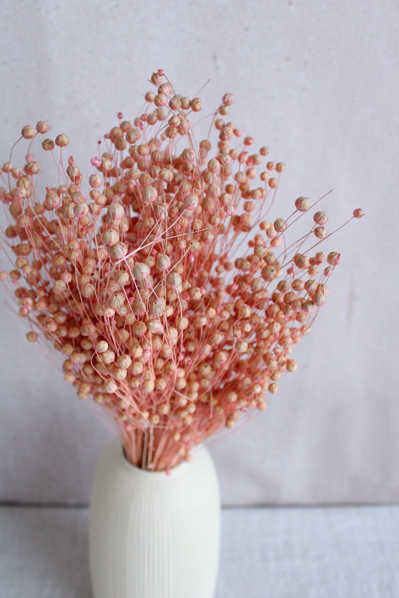 Flachs | Rosa Vasenglück