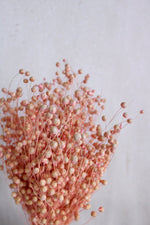Flachs | Rosa Vasenglück
