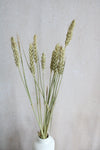Trockenblumen in kleinen Mengen - Natur Vasenglück