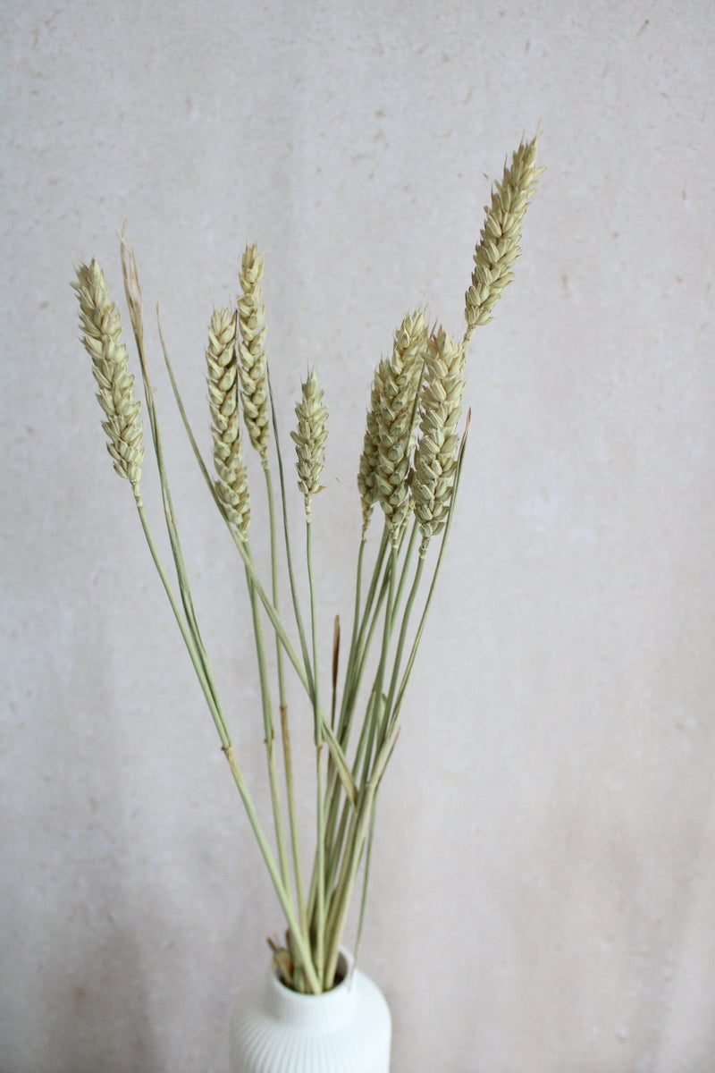 Trockenblumen in kleinen Mengen - Natur Vasenglück