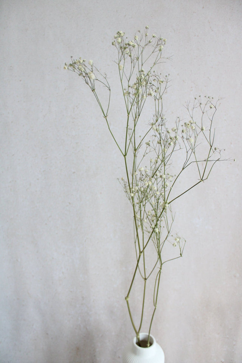 Trockenblumen in kleinen Mengen - Natur Vasenglück