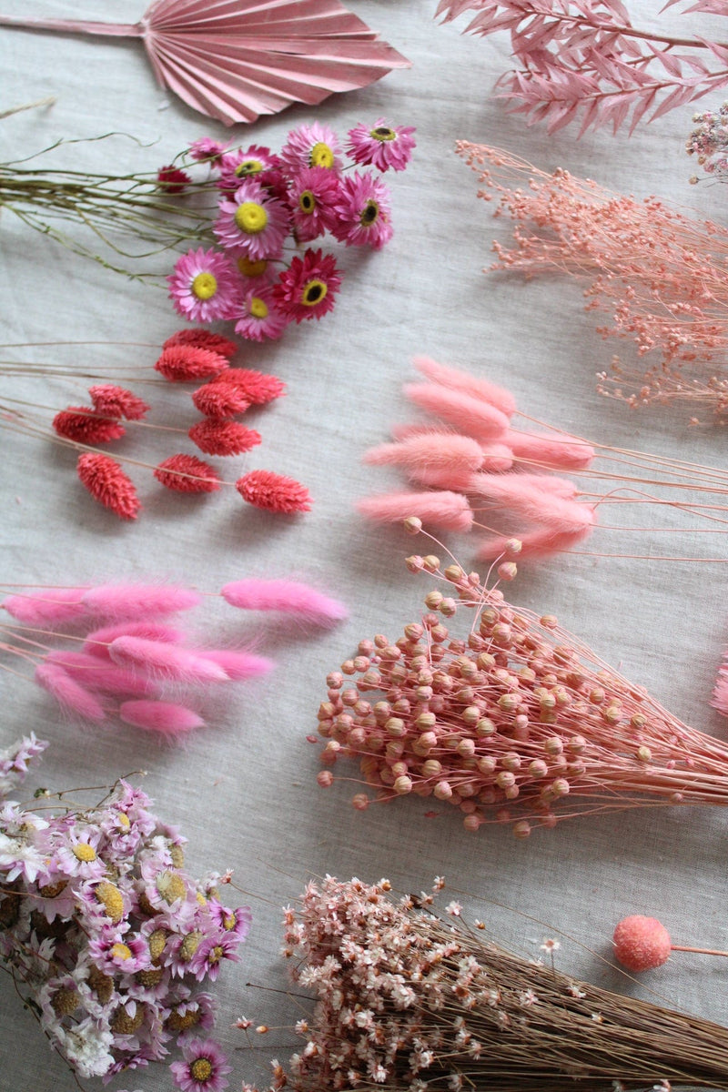 Trockenblumen in kleinen Mengen - Rosa/Pink Vasenglück