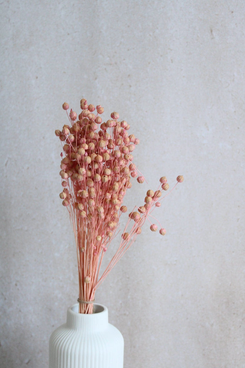 Trockenblumen in kleinen Mengen - Rosa/Pink Vasenglück