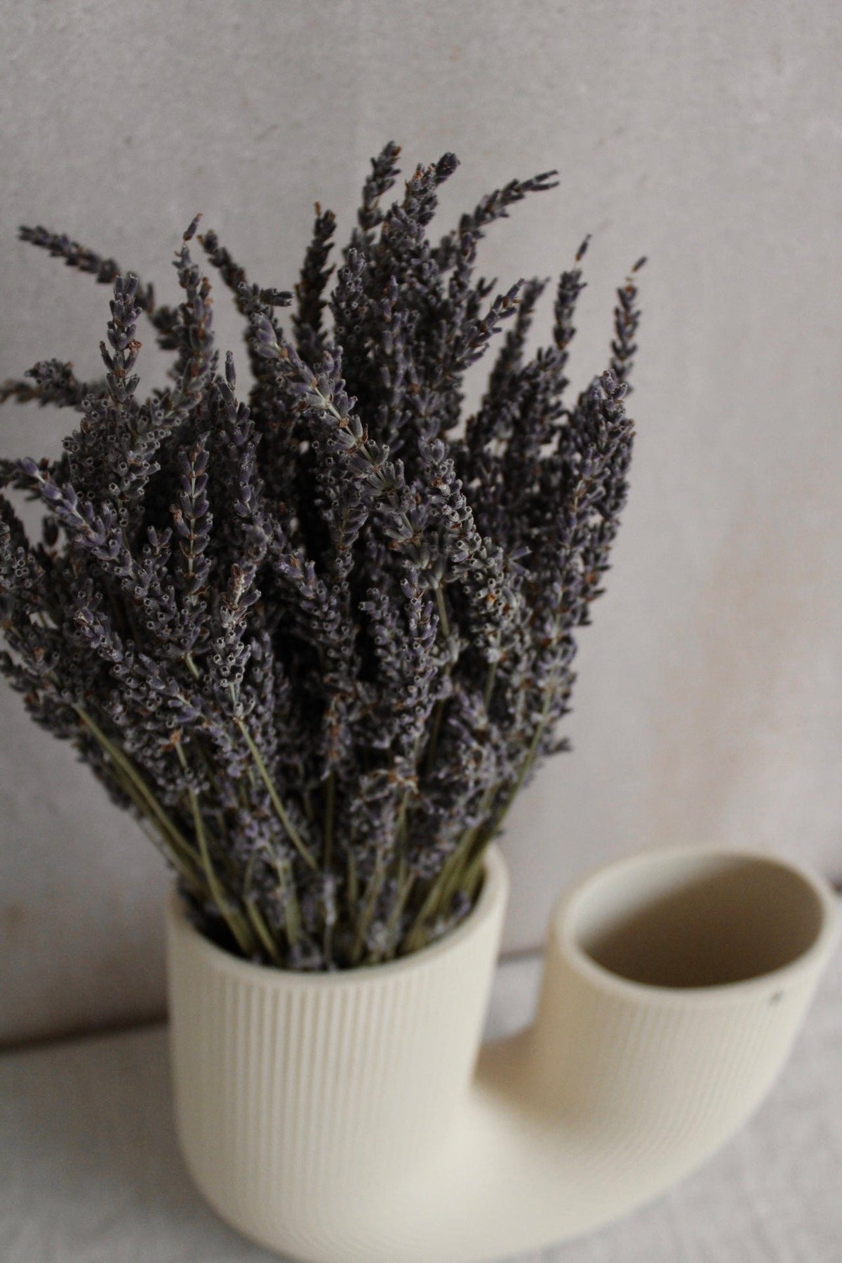 getrockneten lavendel aufbewahren Lavendel 45cm - Trockenblumen Deko