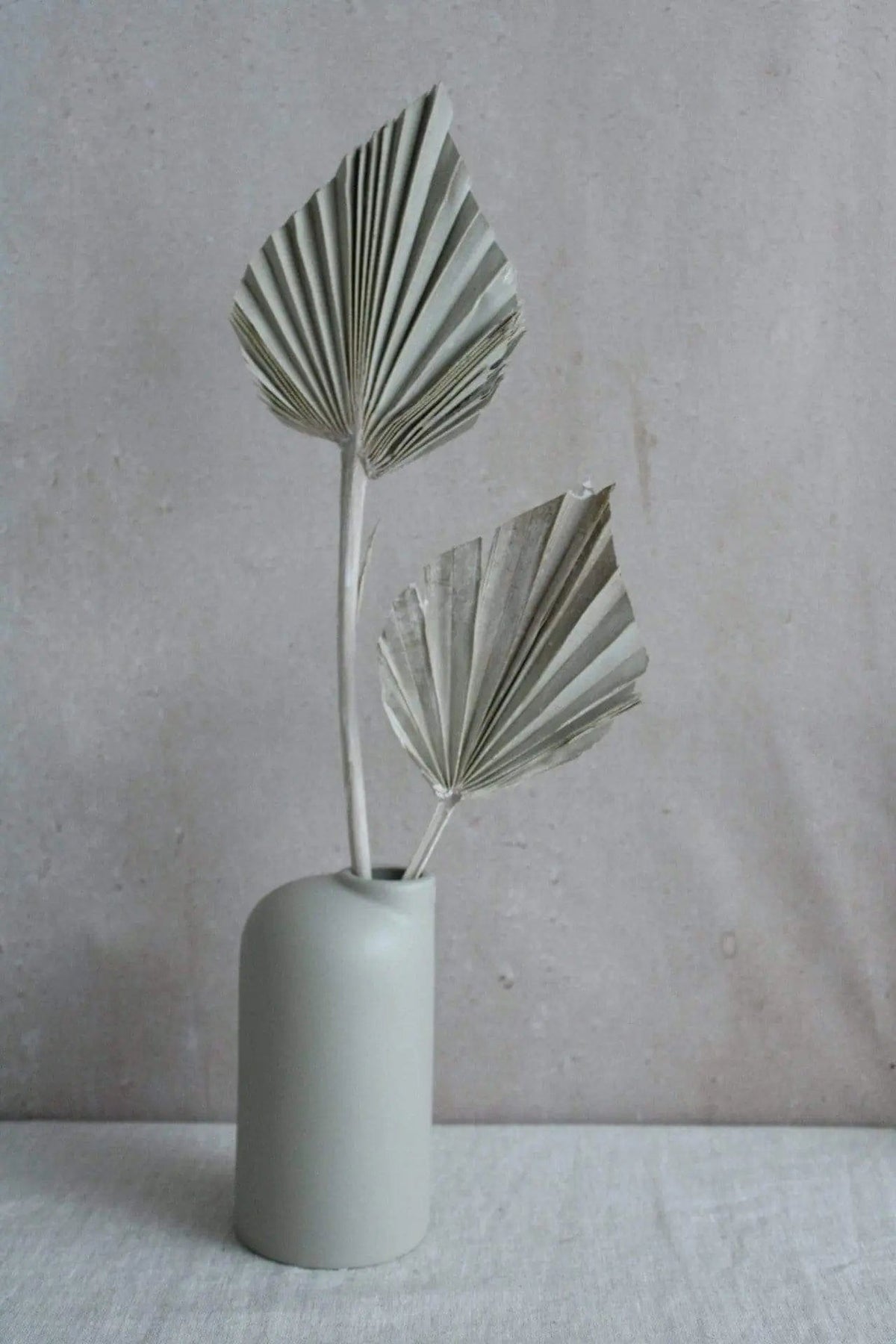 Palmwedel | 1 Stiel