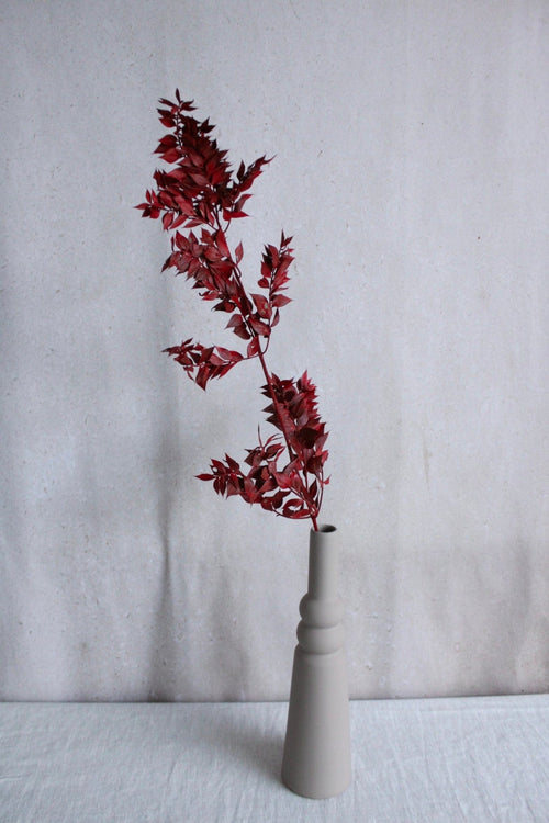 Ruscus | 1 Stiel | Rot Vasenglück