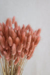 Trockenblumen in kleinen Mengen - Rosa/Pink Vasenglück