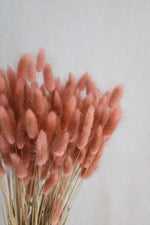 Trockenblumen in kleinen Mengen - Rosa/Pink Vasenglück