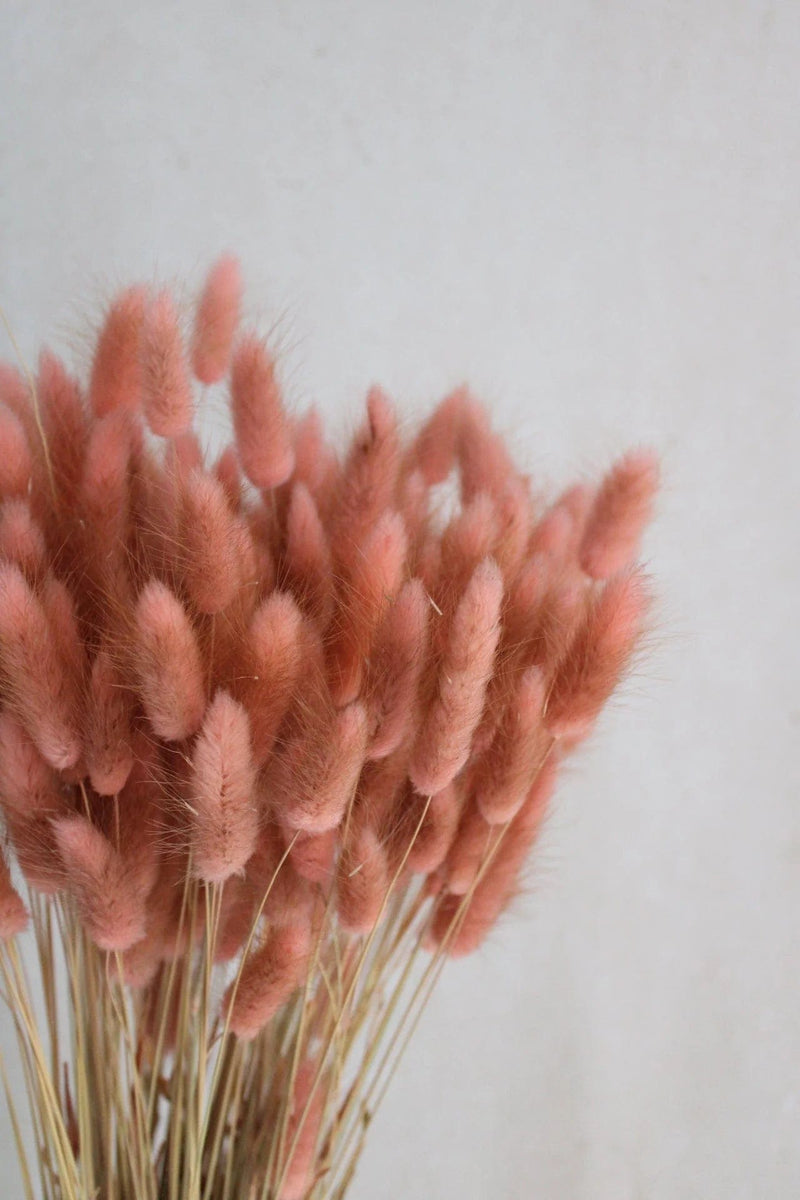 Trockenblumen in kleinen Mengen - Rosa/Pink Vasenglück