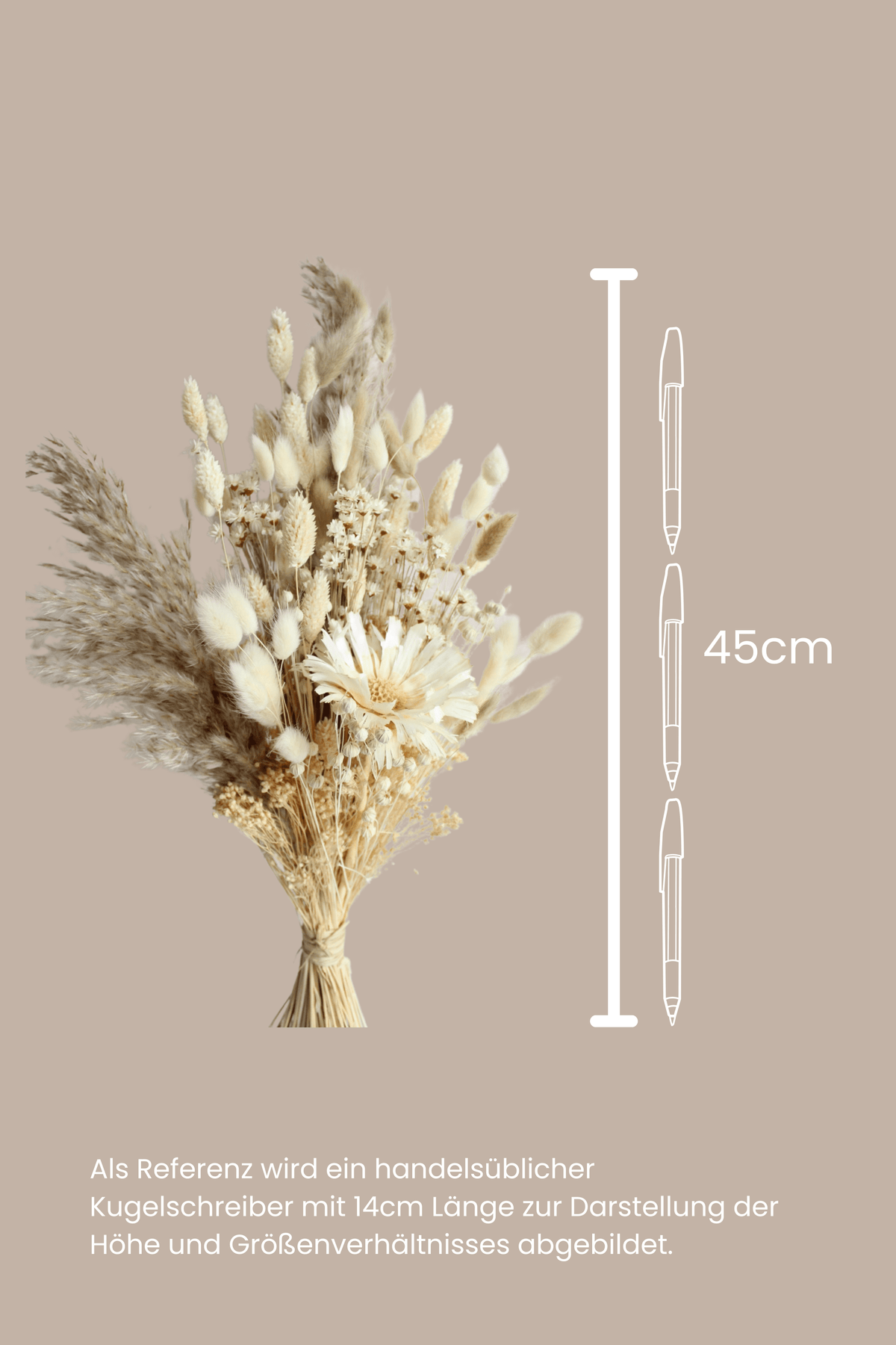 Trockenblumenstrauß Creme Pampasgras 50cm