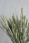 Weizen | Natur Vasenglück